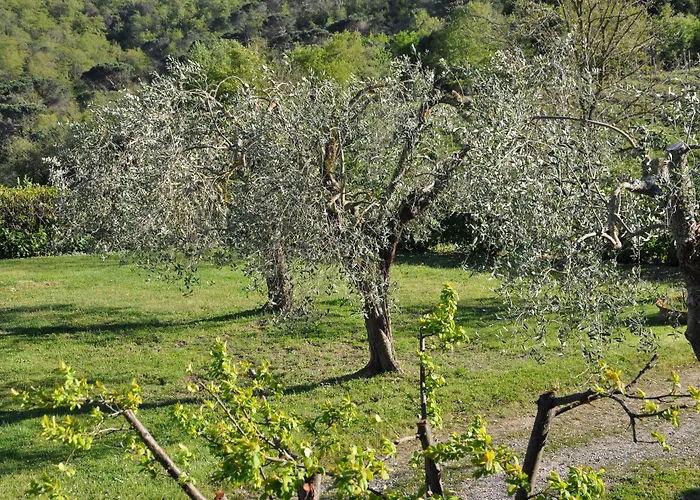Casa di campagna Castello Di Selvole *