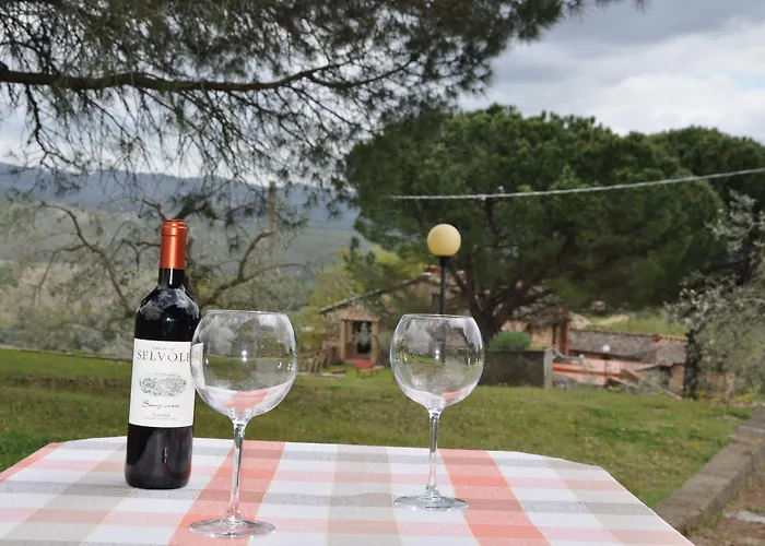 Casa di campagna Castello Di Selvole *