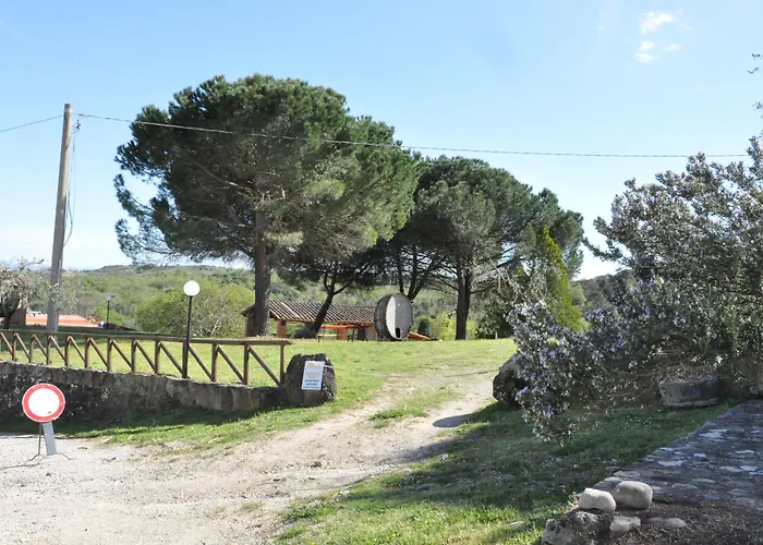 Castello Di Selvole